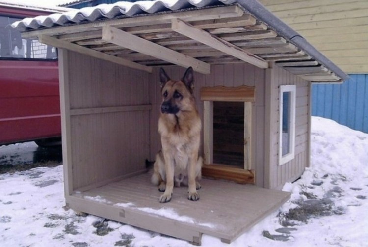 Собачья конура для немецкой овчарки