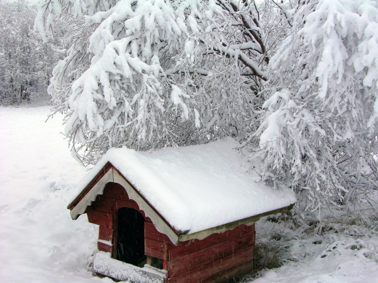 Зимняя будка