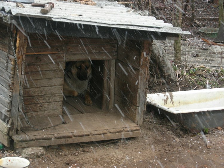 Конура Старая