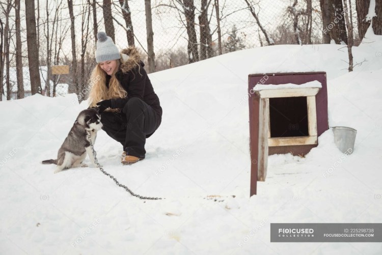 Собака в конуре зимой