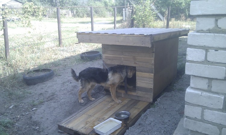 Будка для собаки во дворе