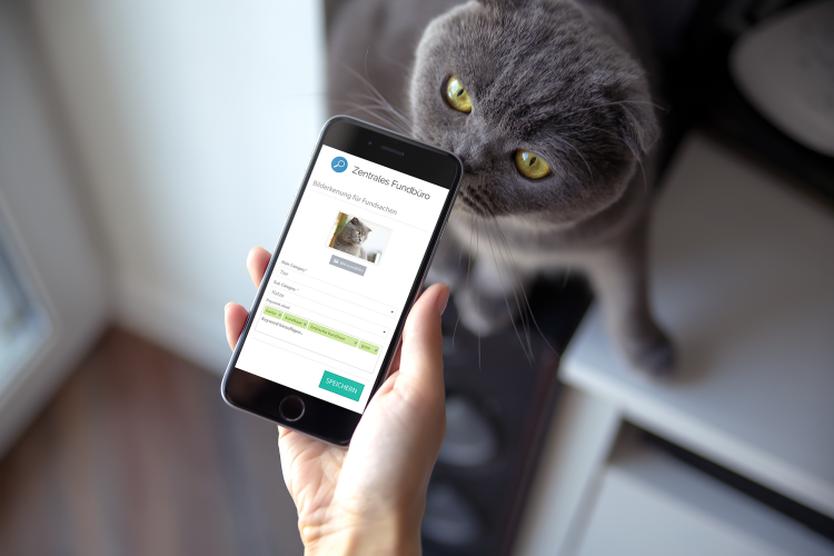 Кошачий телефон