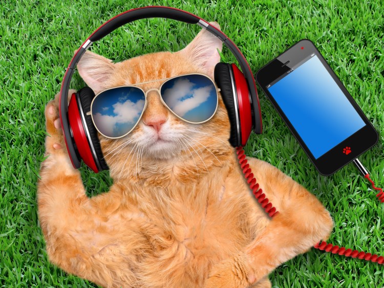 Смешные аватарки