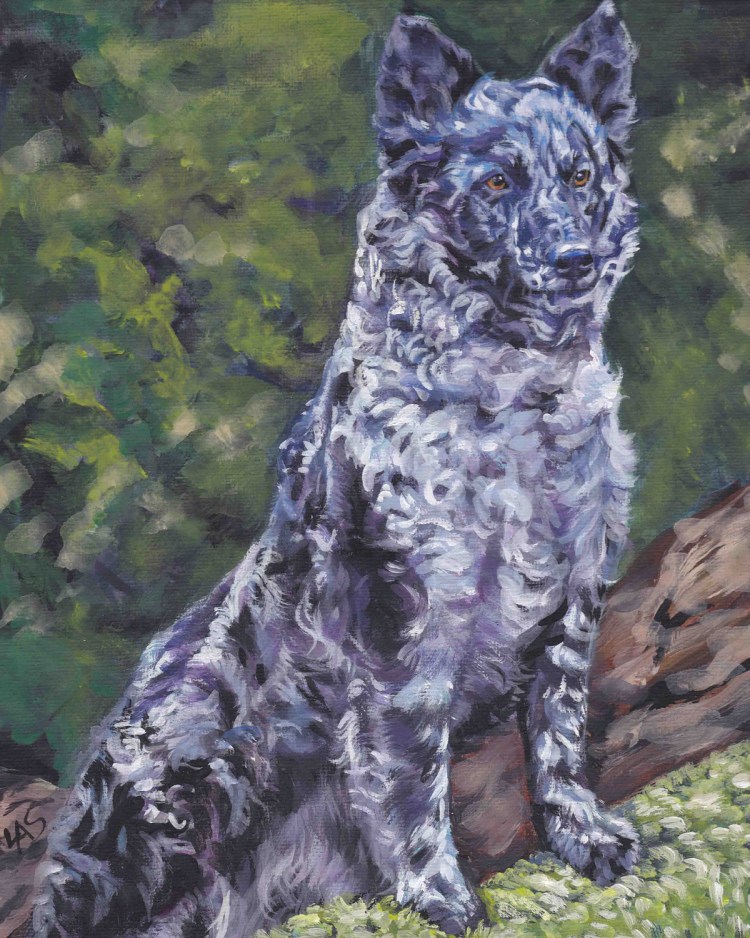 Венгерская пастушья Муди