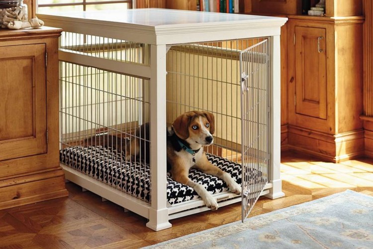 Вольер для Джек Рассела