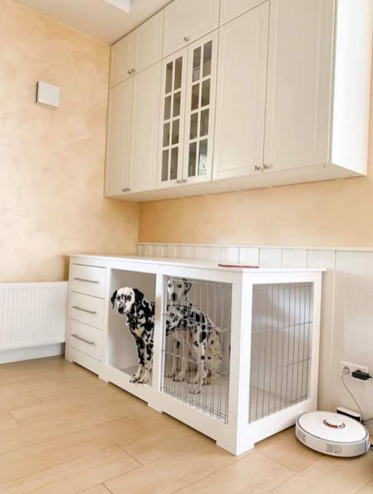 Вольер для Джек Рассела