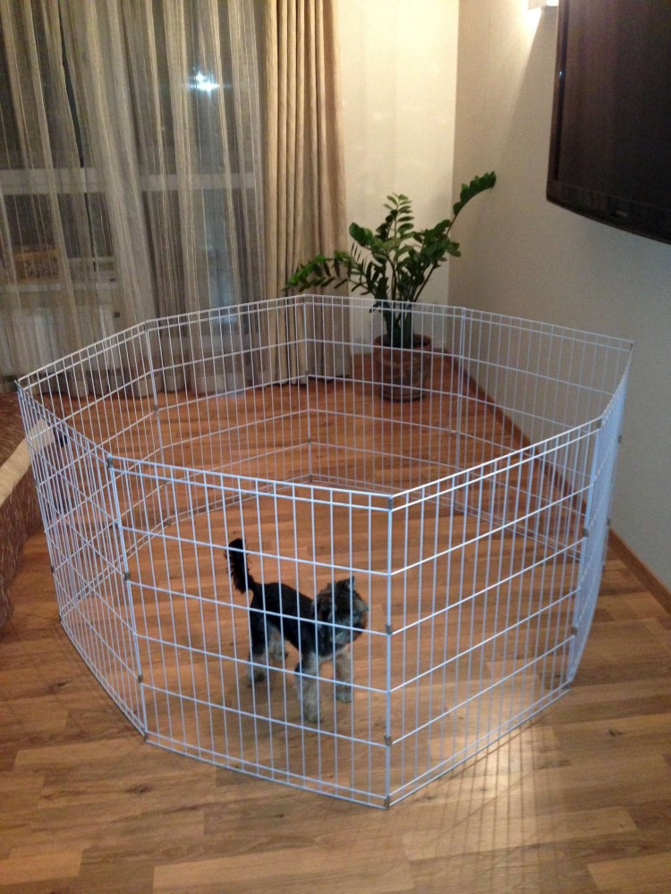 Вольер для щенков