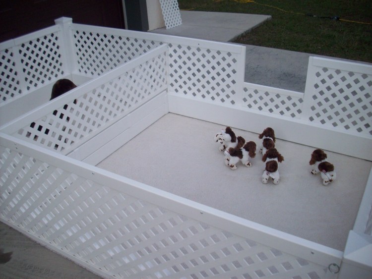 Пластиковые вольеры для щенков в квартиру