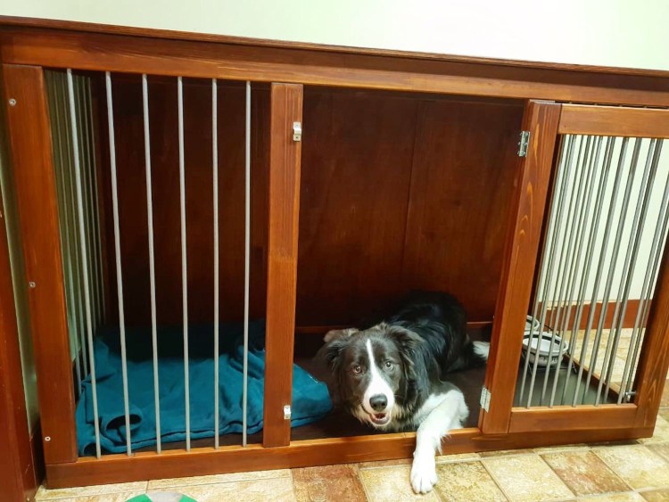 Вольер для собак