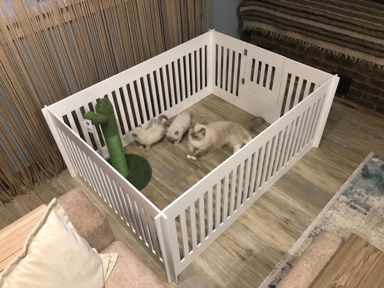 Вольер для щенков