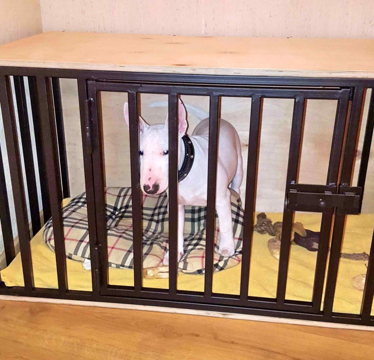 Клетка для собаки в квартиру