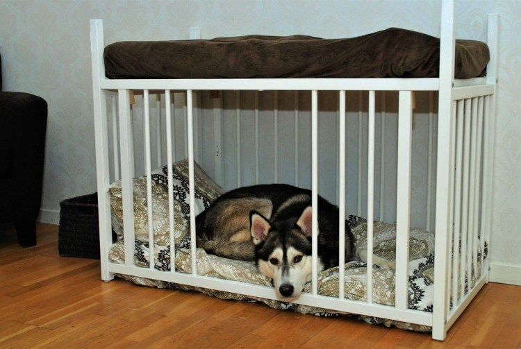 Детская кроватка собака