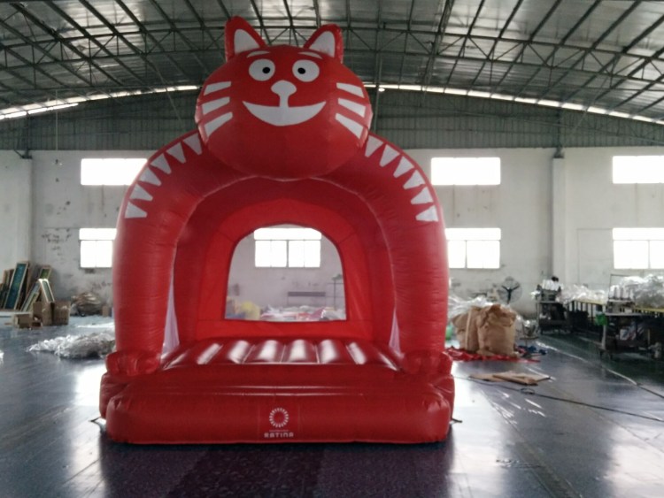 Надувной кот