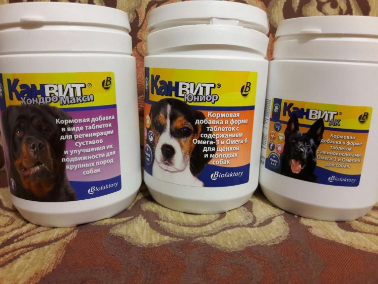 Добавка в корм Canvit Chondro super для собак