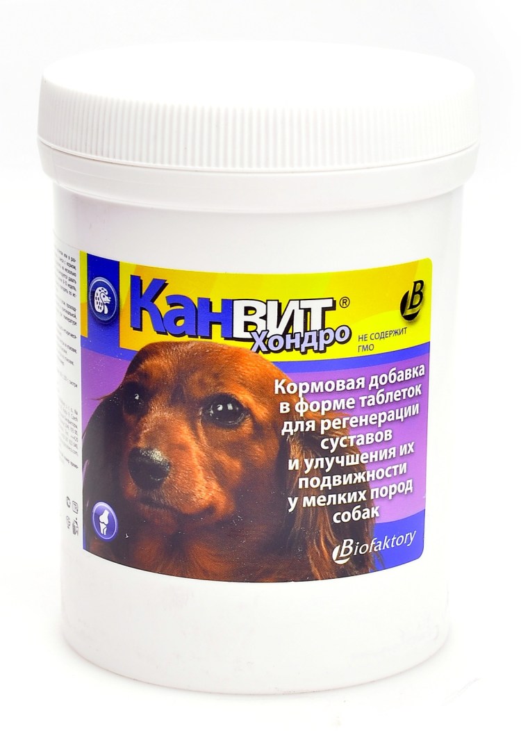 115100188 Canvit Biotin for Dogs 100g