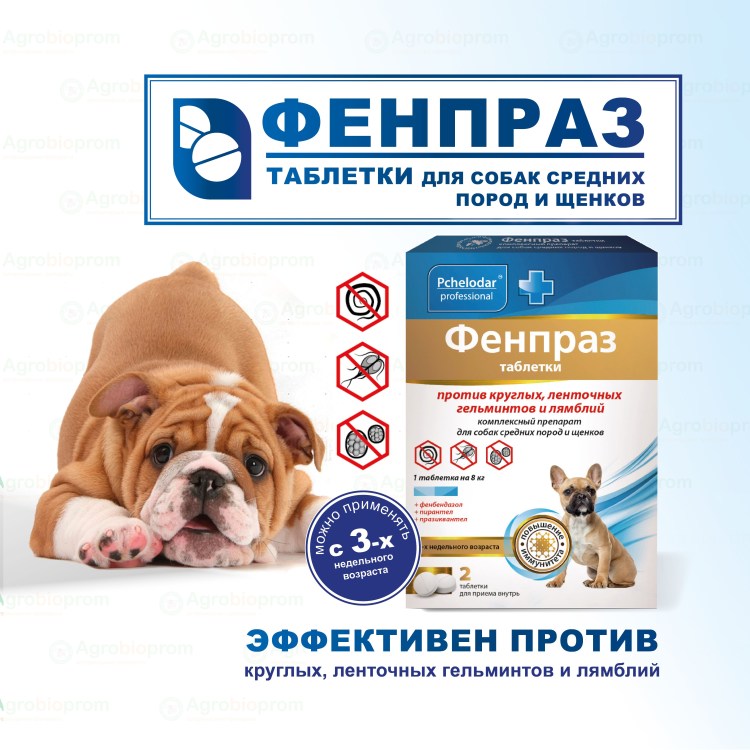 Хондропротекторы для собак