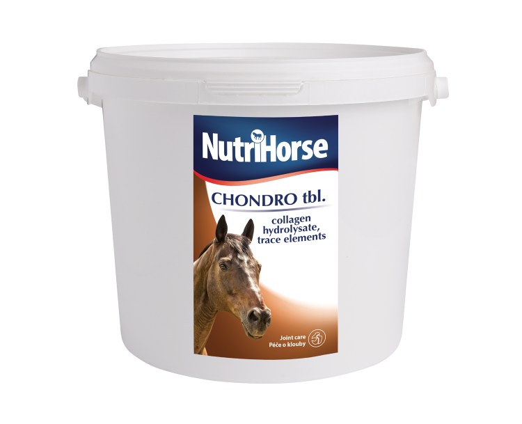 Лакомство для собак профилактика старения