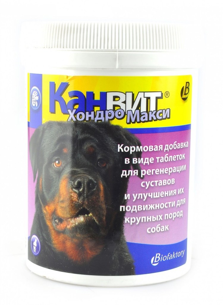 Канвит Хондро макси 500г