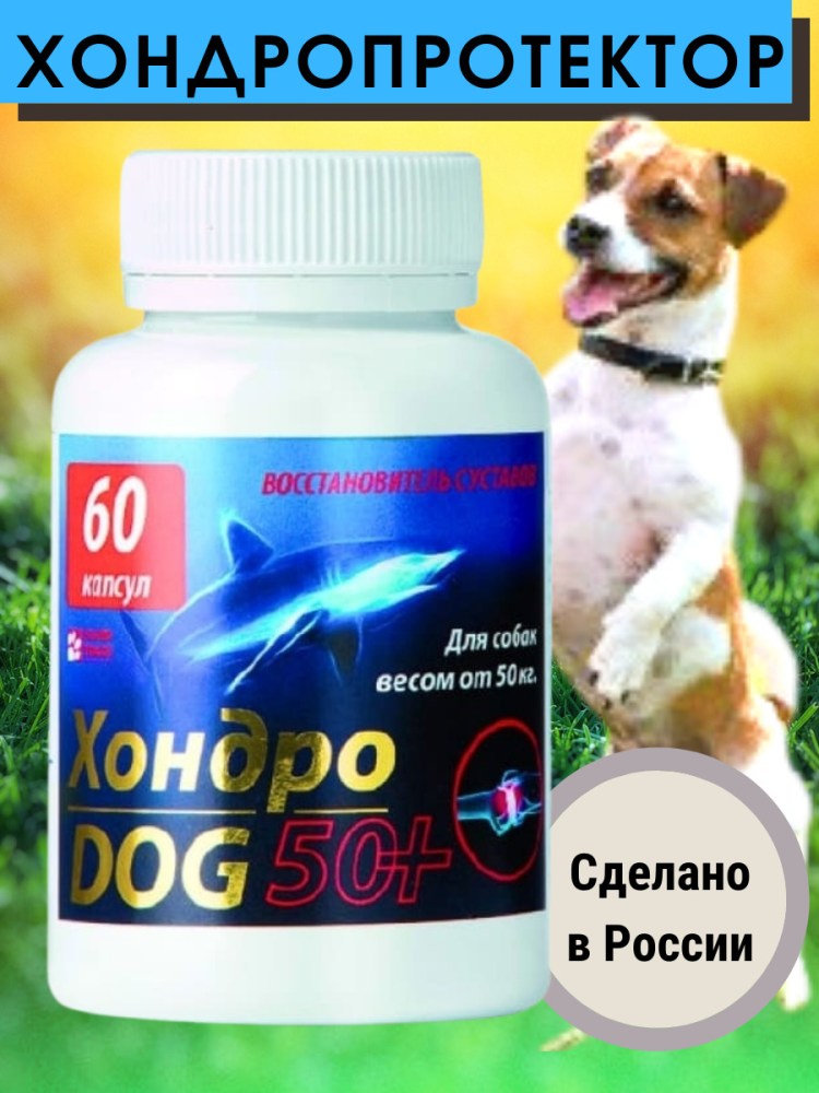 Хондро Биовит