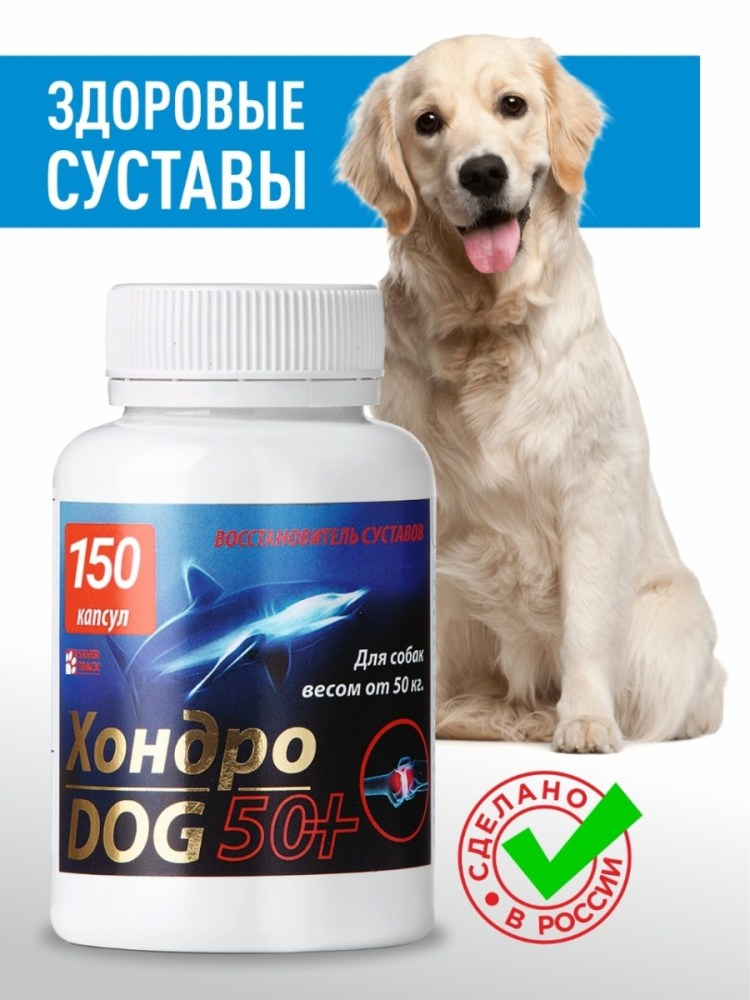 Суспензия для суставов для кошек