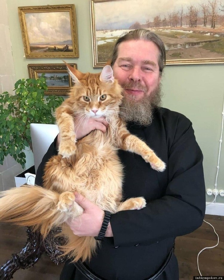 Тихон Шевкунов кот владыка