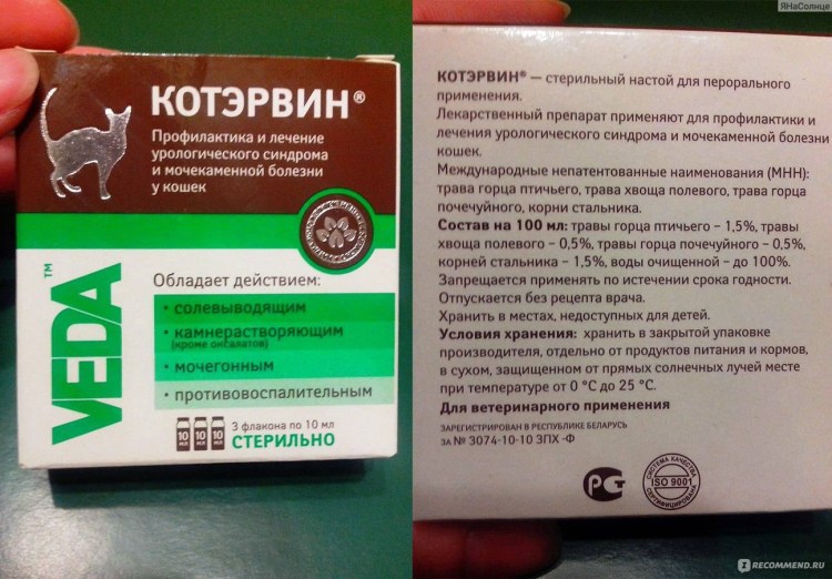 Котэрвин таблетки для кошек