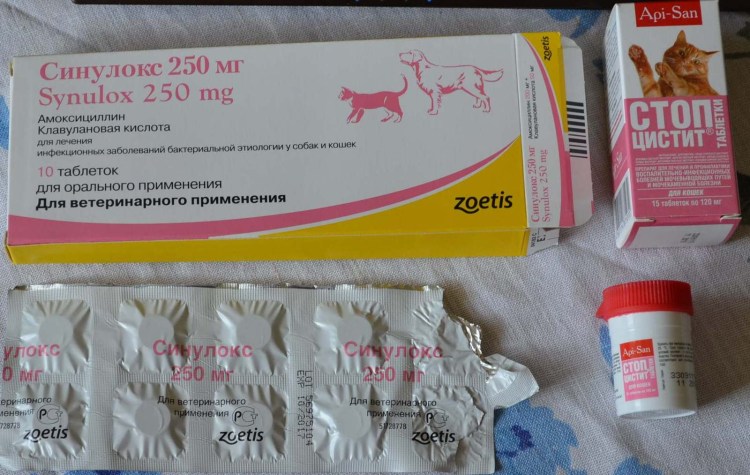 Лекарство для кошек от мочекаменной болезни