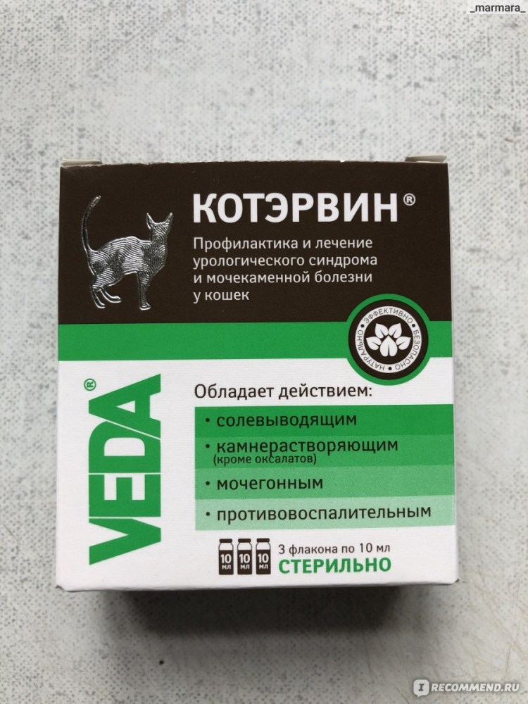 Цистит котэрвин