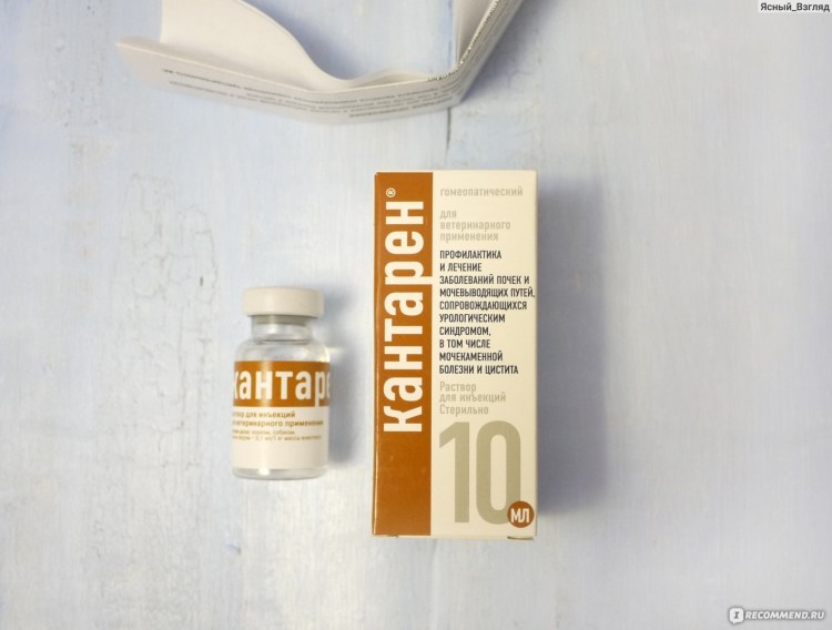 Сухой корм при мкб у котов