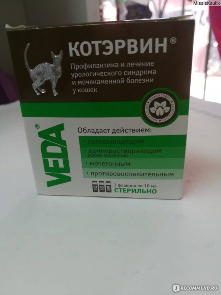 Лекарство от цистита у кошек