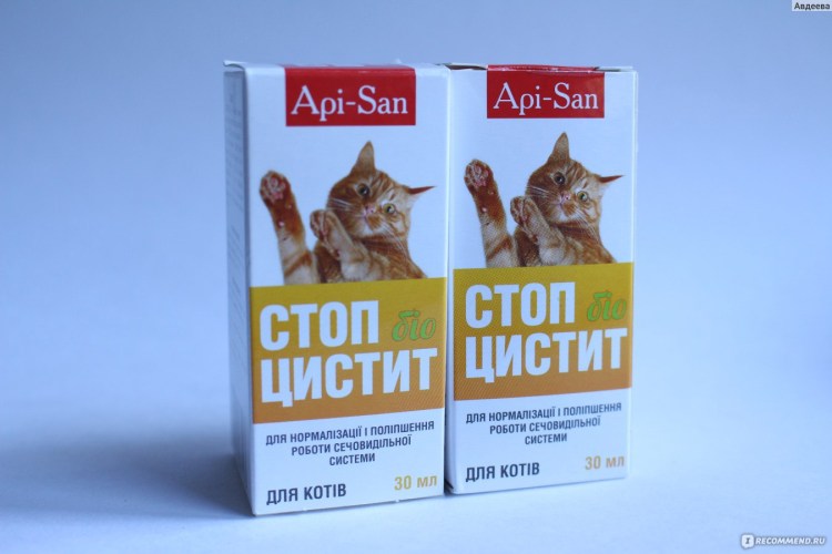 Лекарство от цистита для котов