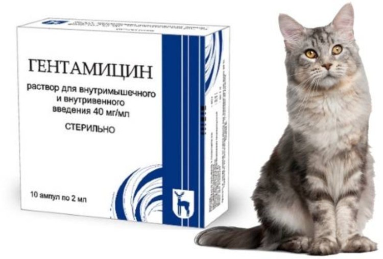 Витамины Veda котэрвин