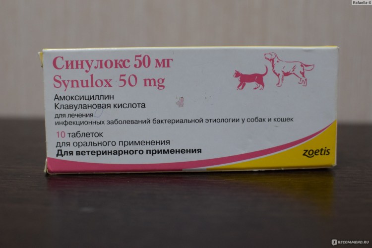 Капли для почек для котов