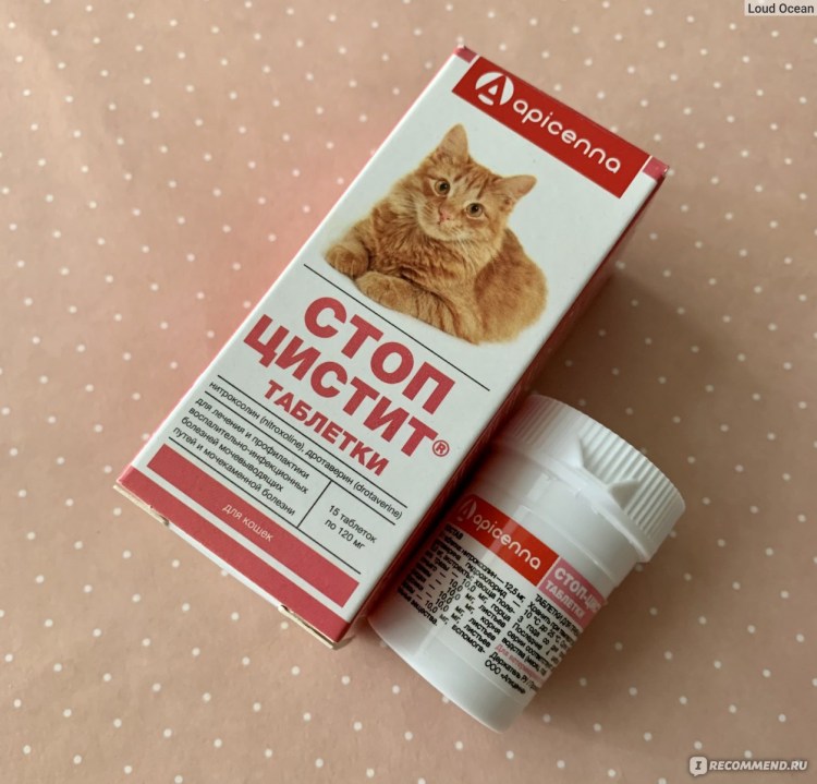 Диетология Ветеринария