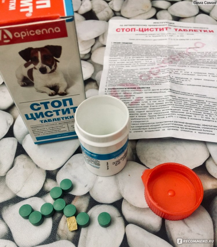 Фитоэлита котэрвин (3 фл по 10 мл)