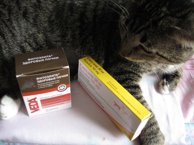 Синулокс 125 мг