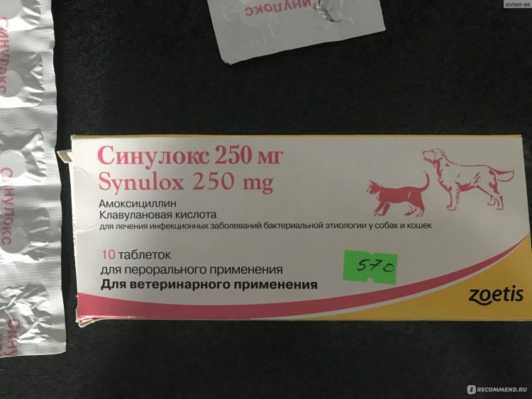 Синулокс таблетки для собак от цистита