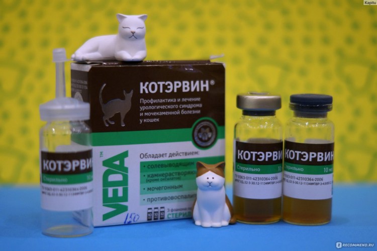 Витамины для кошек с мочекаменной болезнью