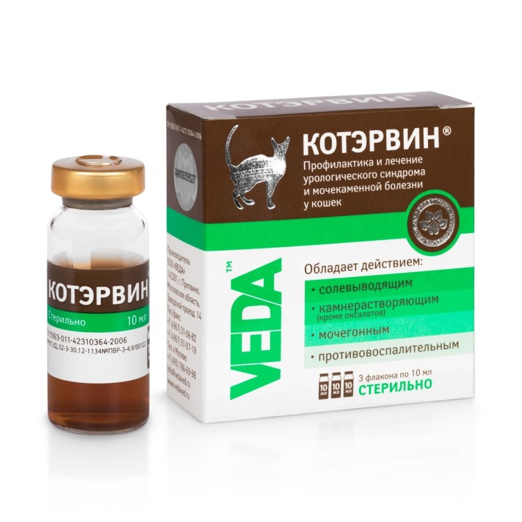 Антибиотики для кота гентамицин