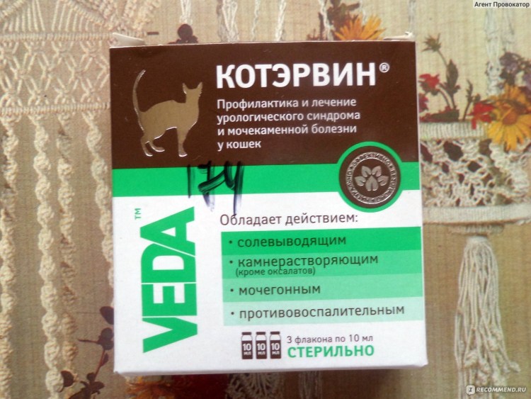 Стоп цистит