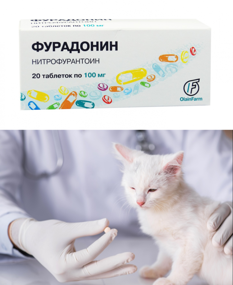 Препараты при мочекаменной болезни у котов