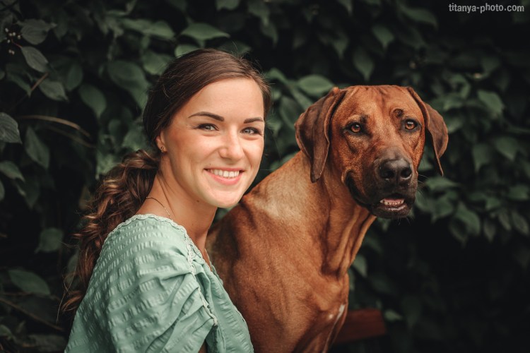 Риджбек собака Родезийский