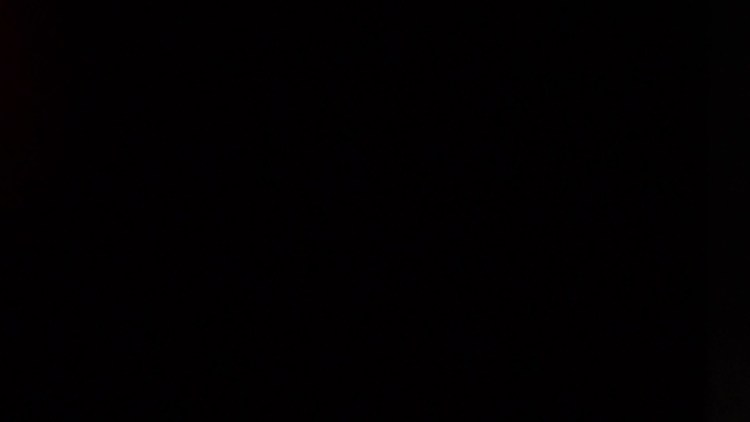 Выпадение прямой кишки у котенка