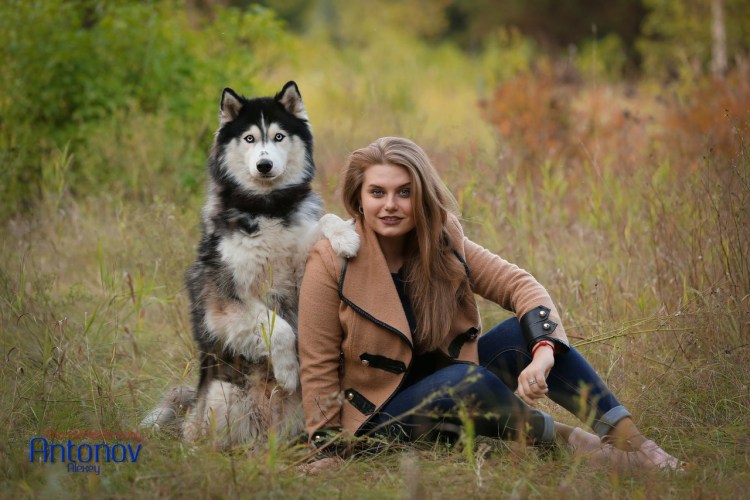 Город собак