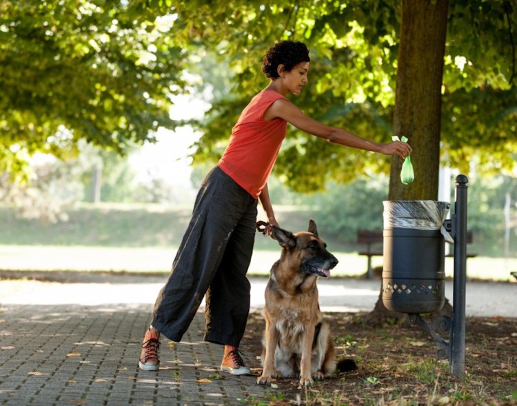 Уборка за собаками на улице
