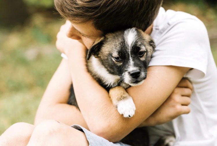 Дама с собачкой на прогулке
