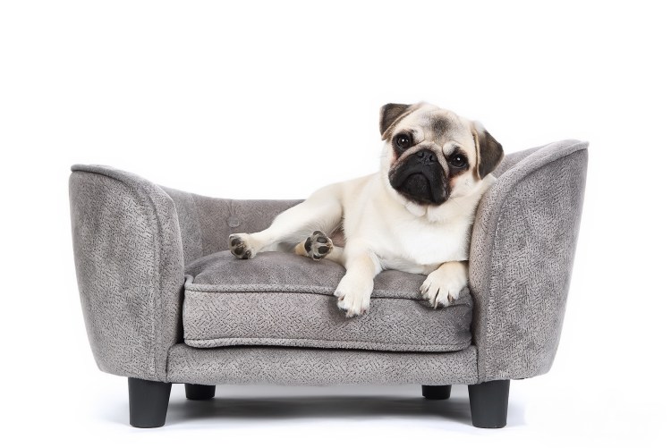 Диван для собаки