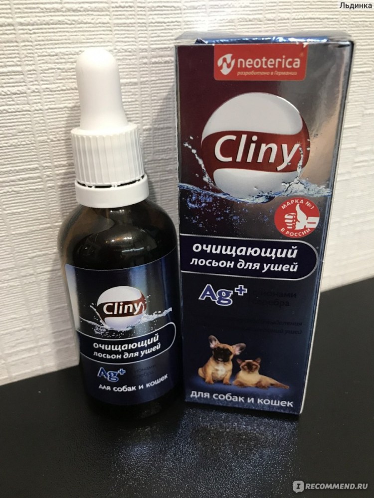 Вирусный ринотрахеит кошек