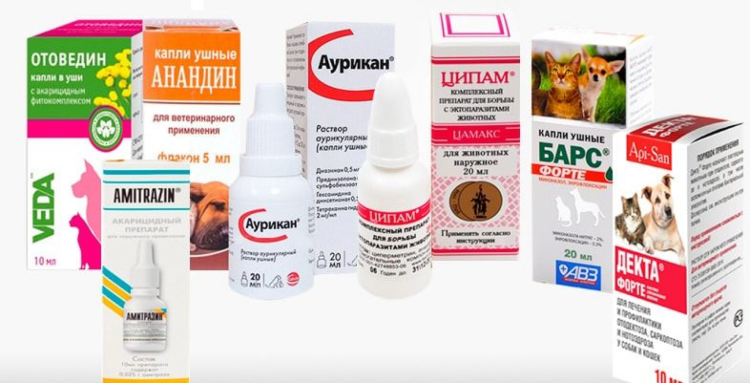 Кошка с коричневыми пятнами