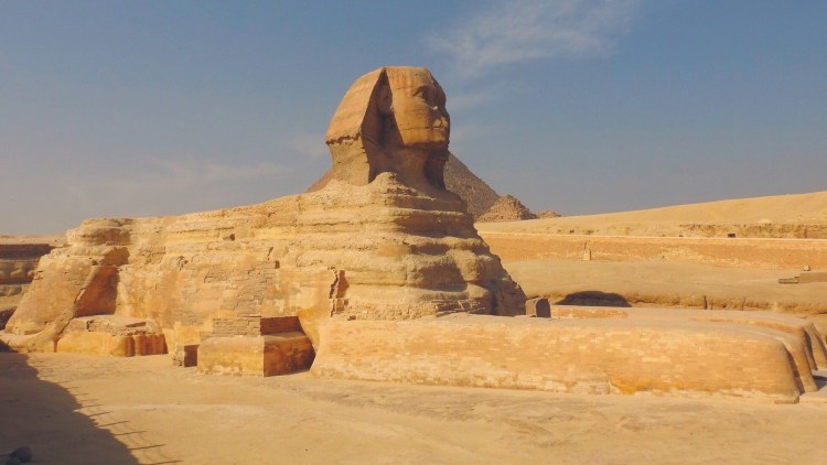 Канадский сфинкс охотится